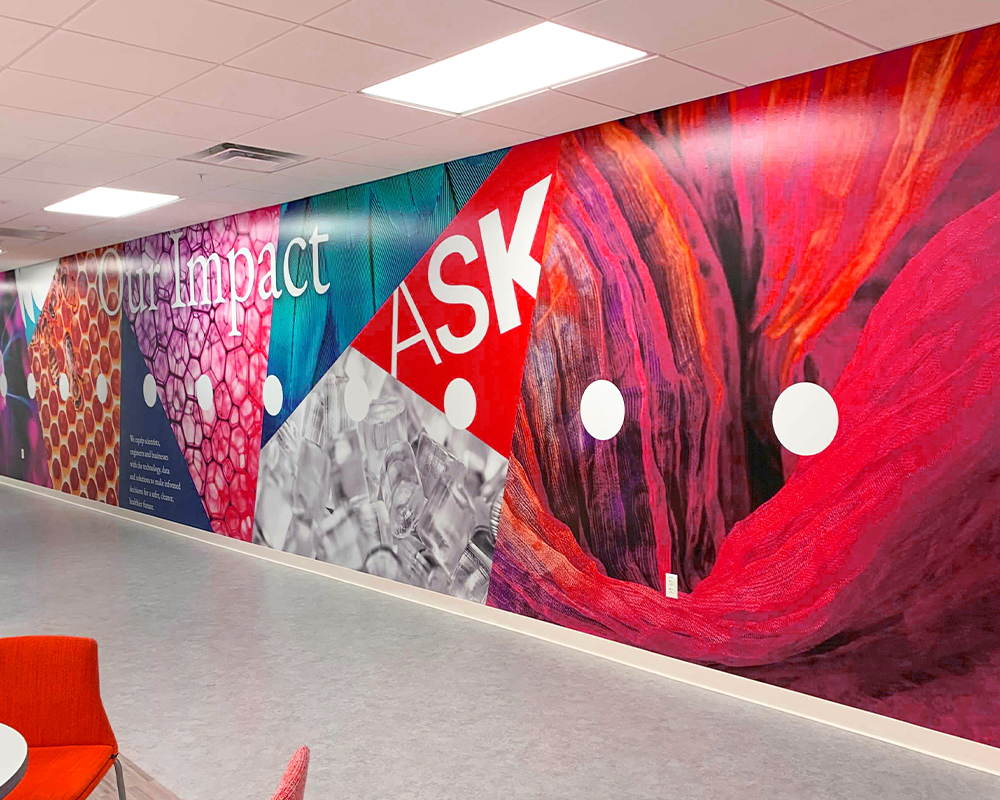 Custom wall murals