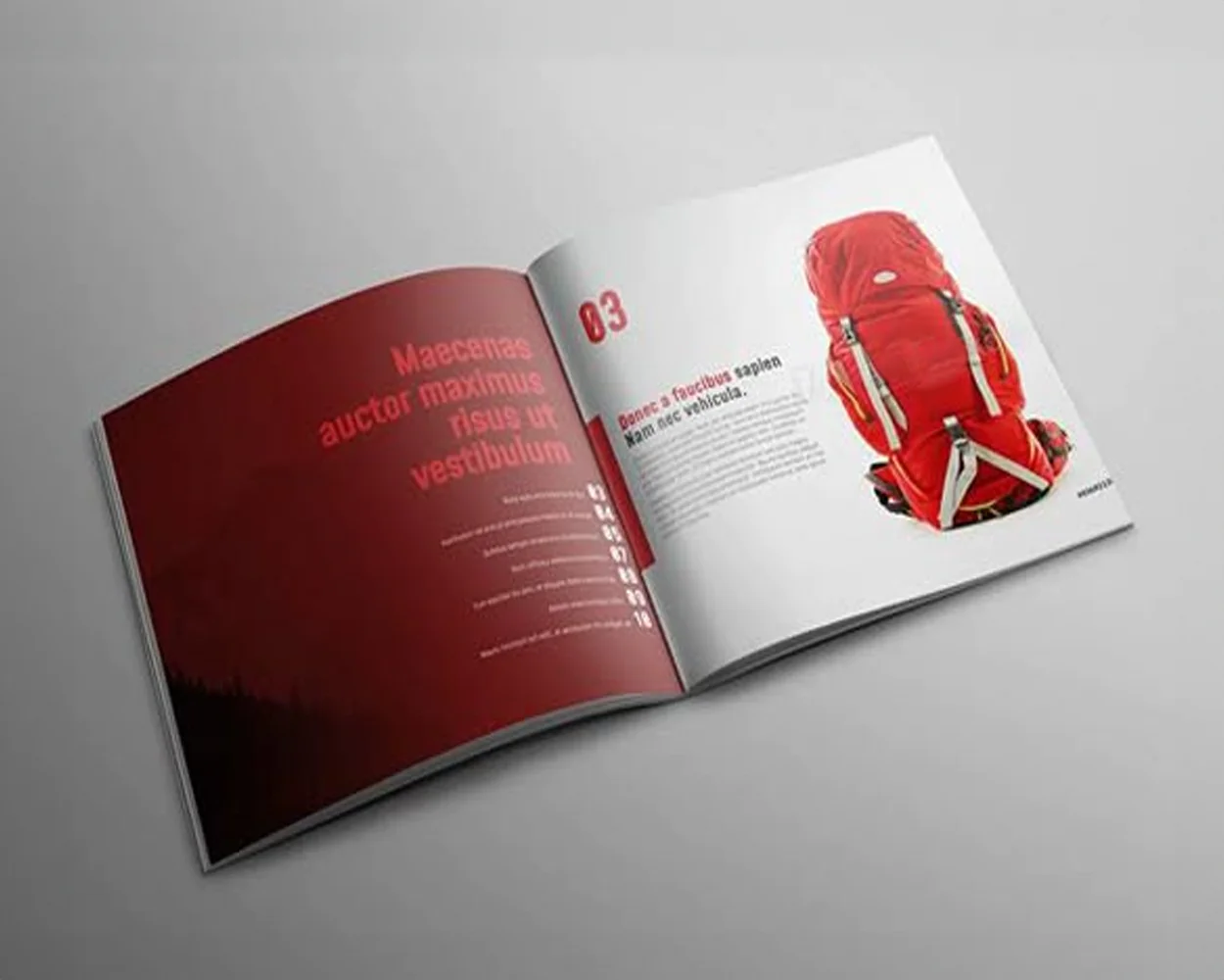Custom Brochures