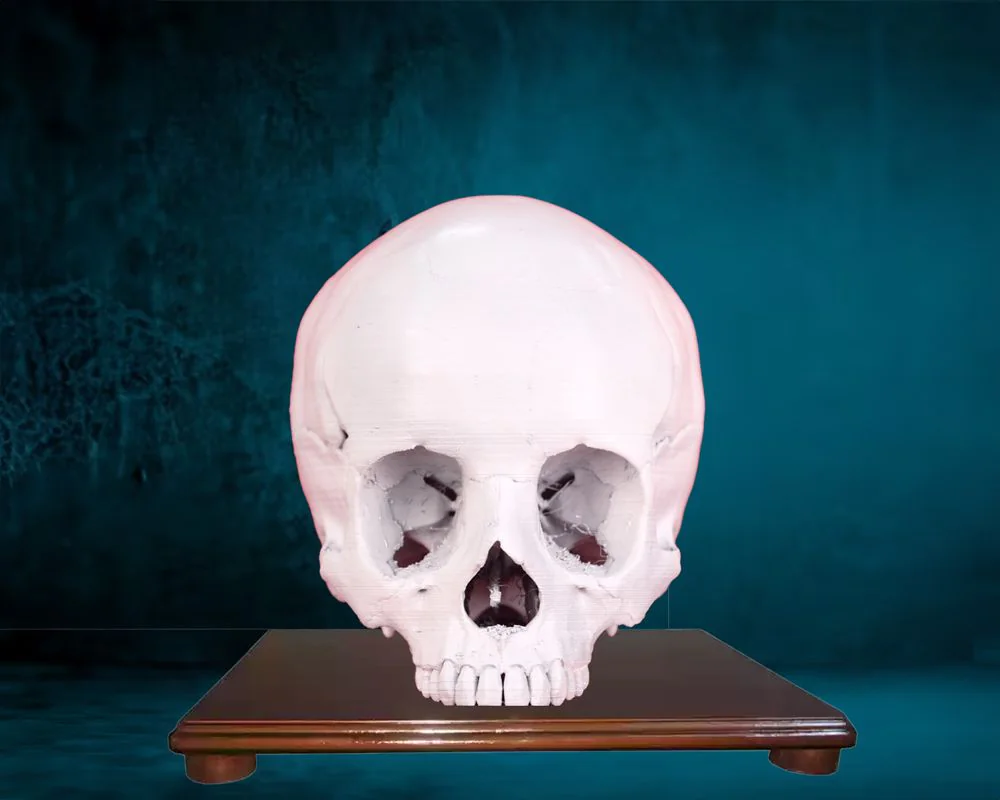 FDM 3D Printing